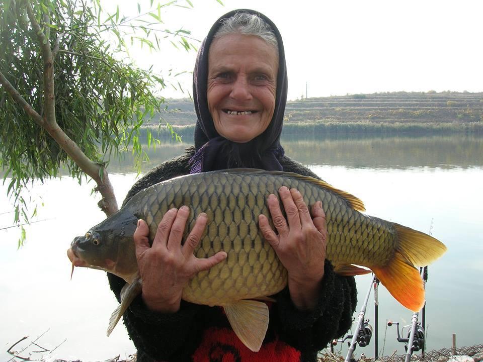 Funny - 18002754657757235219621384537945n.jpg